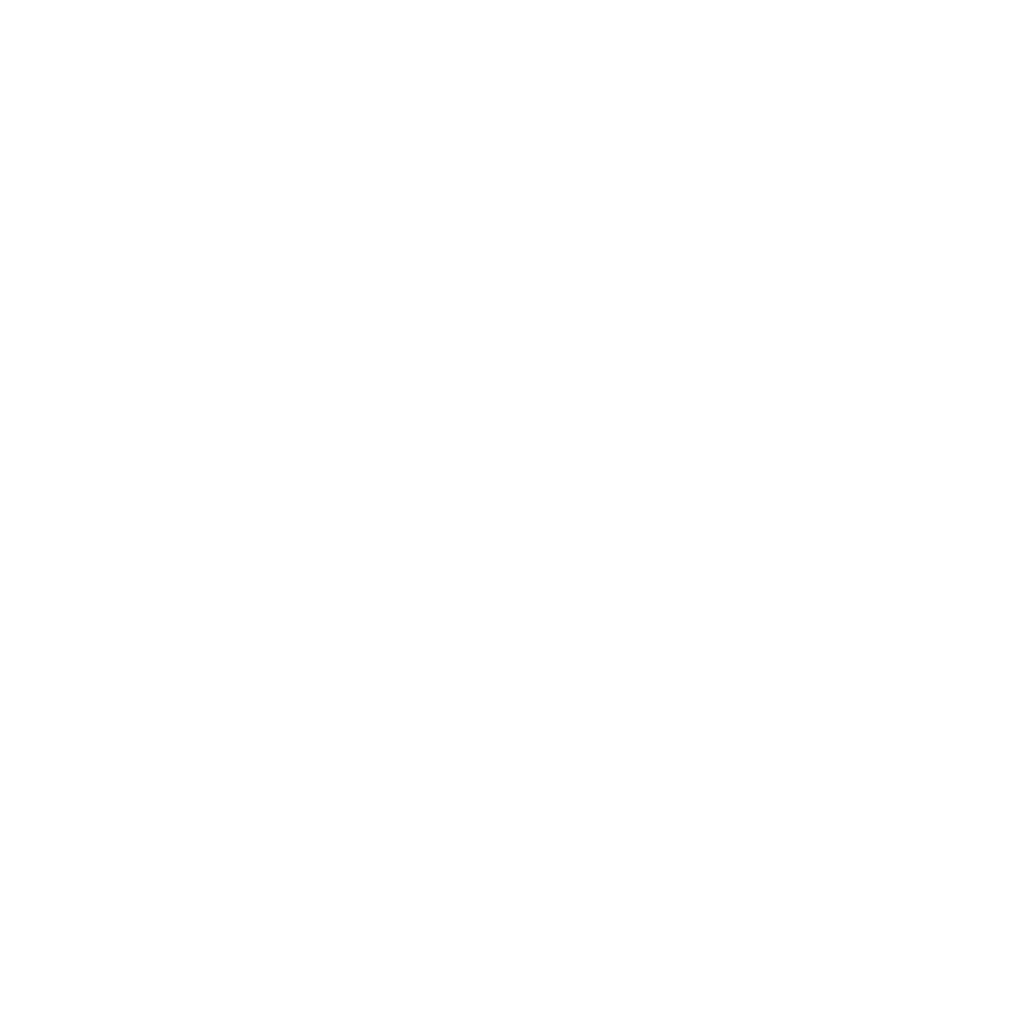 The Ceylon Villas & Co. company logo
